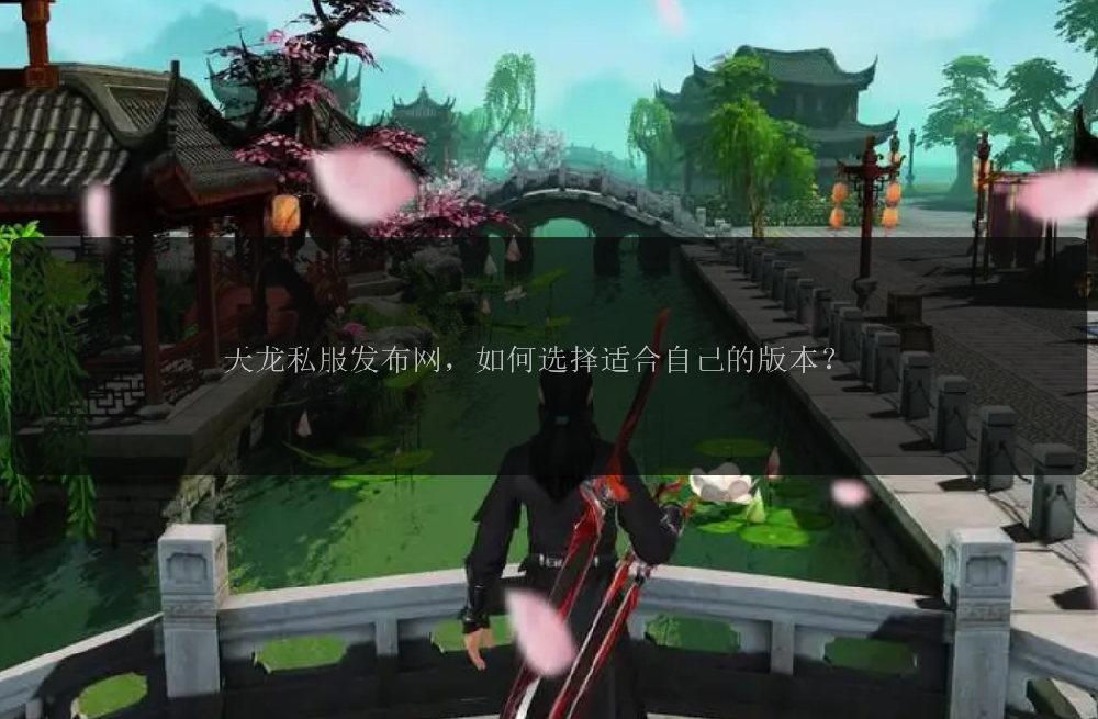 天龙私服发布网，如何选择适合自己的版本？