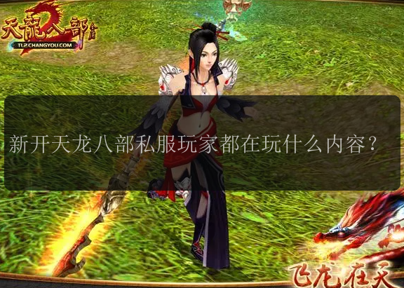 新开天龙八部私服玩家都在玩什么内容？
